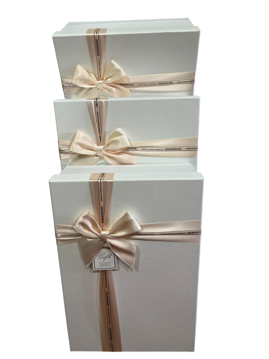 Gift Box (S) 35*24*10 Y91337