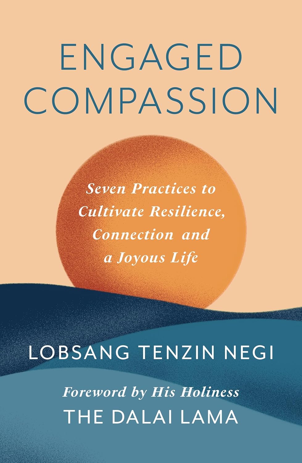 Engaged Compassion (Paperback)