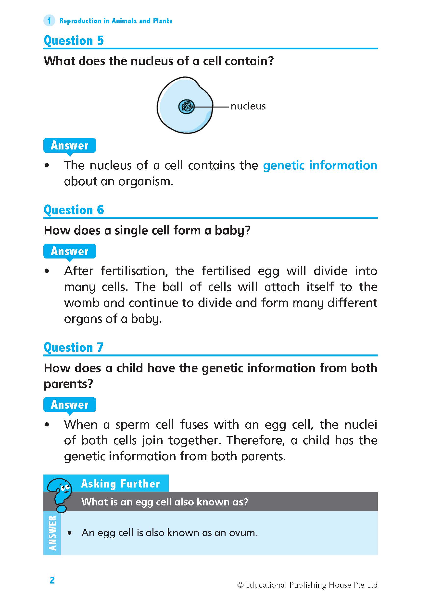 Primary 5 Science Quick And Effective Q&A