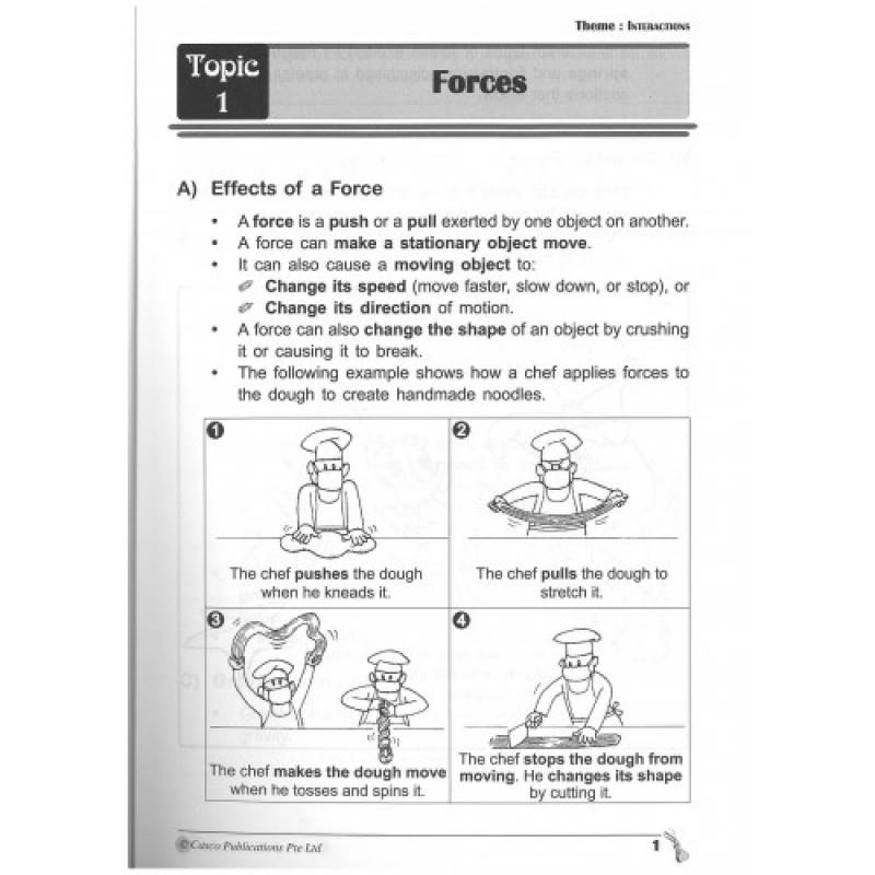 100% Science Process Skills Book 2 Primary 6