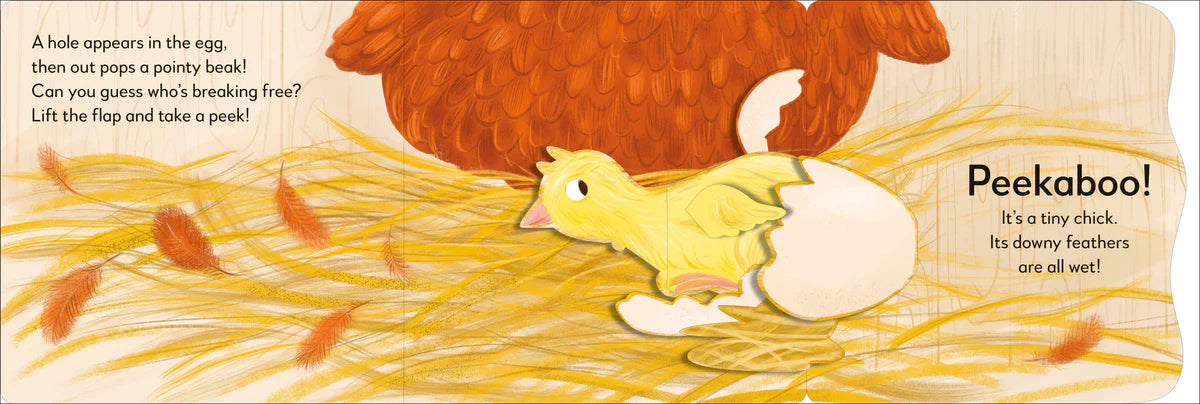 Chick (Pop-Up Peekaboo!)