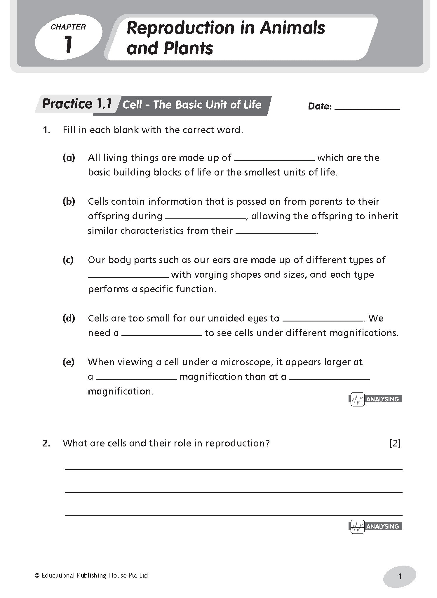 Primary 5 Science Practice