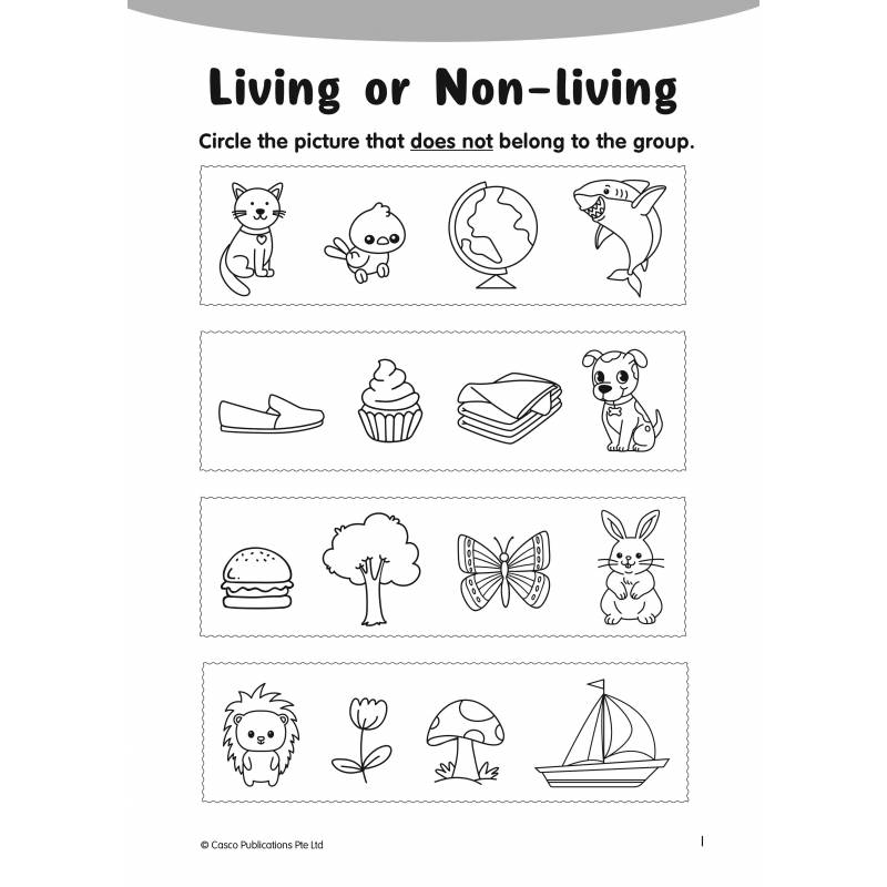 Preschool English Fun Activities K2 Book D – Popular Book Company Pte Ltd