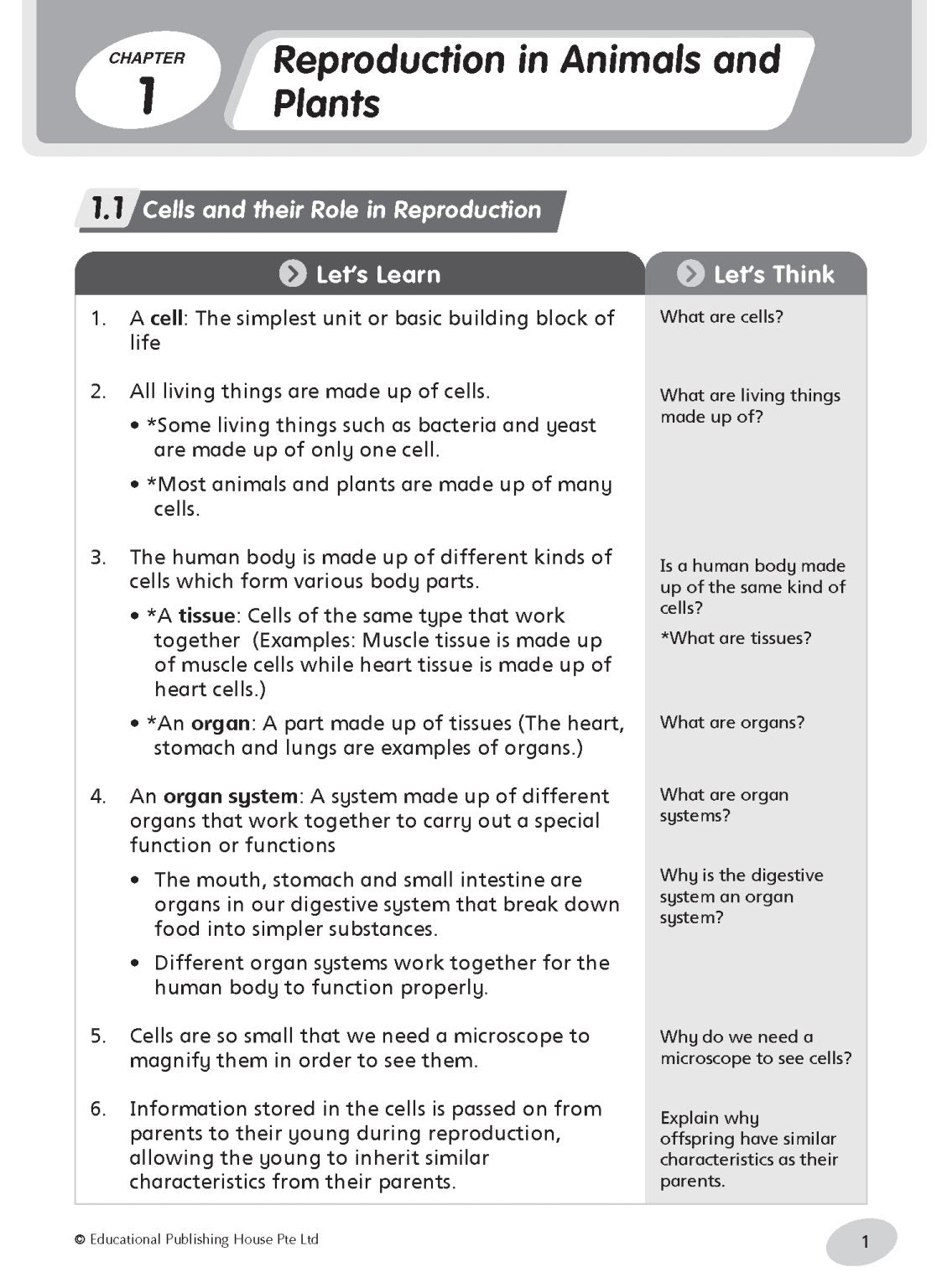 Primary 5 Science Notes & Practice