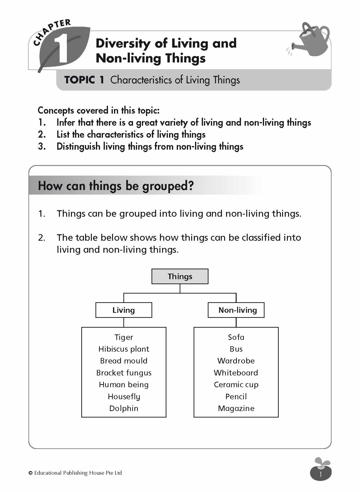 Primary 3 Science Revision Workbook