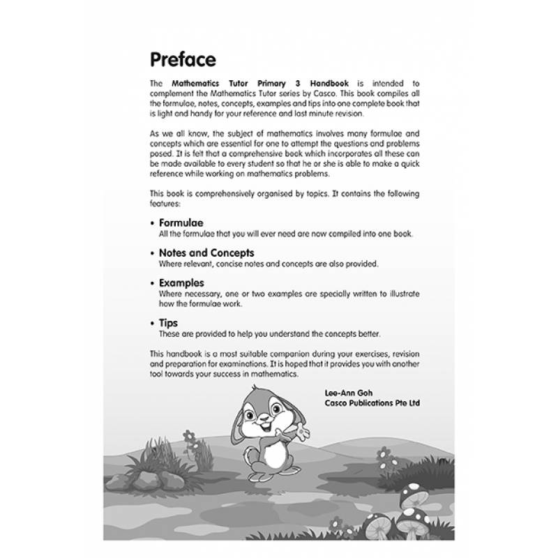 Primary Maths Handbook 3