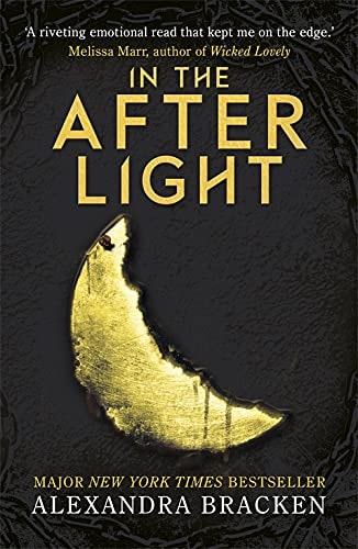 In The Afterlight (Paperback)