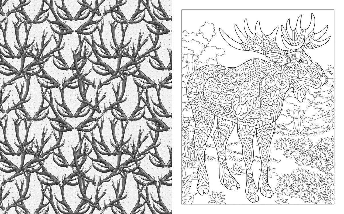 Wild Animals Colouring Book