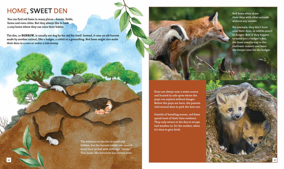The Fox (Brainy Creatures)