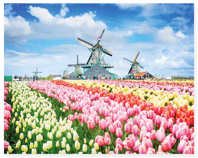 HINKLER MINDBOGGLERS 1000 PIECE JIGSAW PUZZLE: DUTCH WINDMILLS, NETHERLANDS