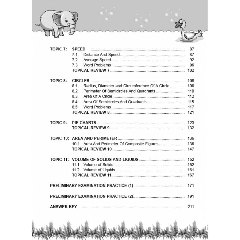 Lesson By Lesson Maths Primary 6