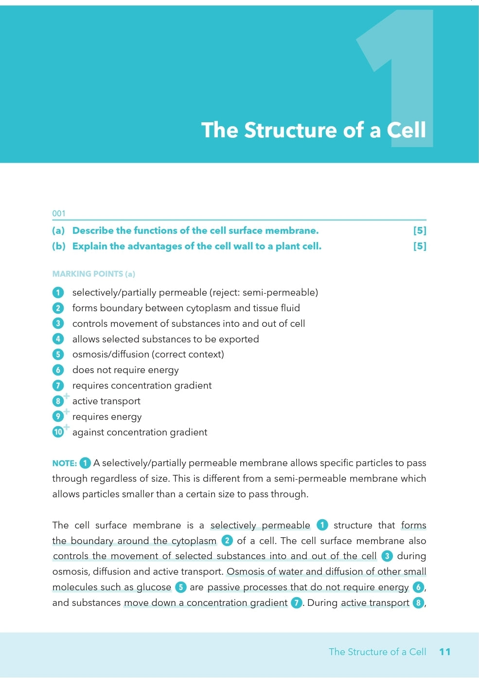 O-Level Biology Essays Simplified!