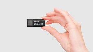 TransMemory U301 256GB USB Flash Drive