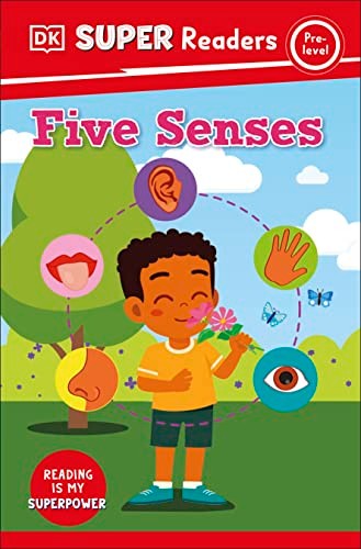 Five Senses Pre-level