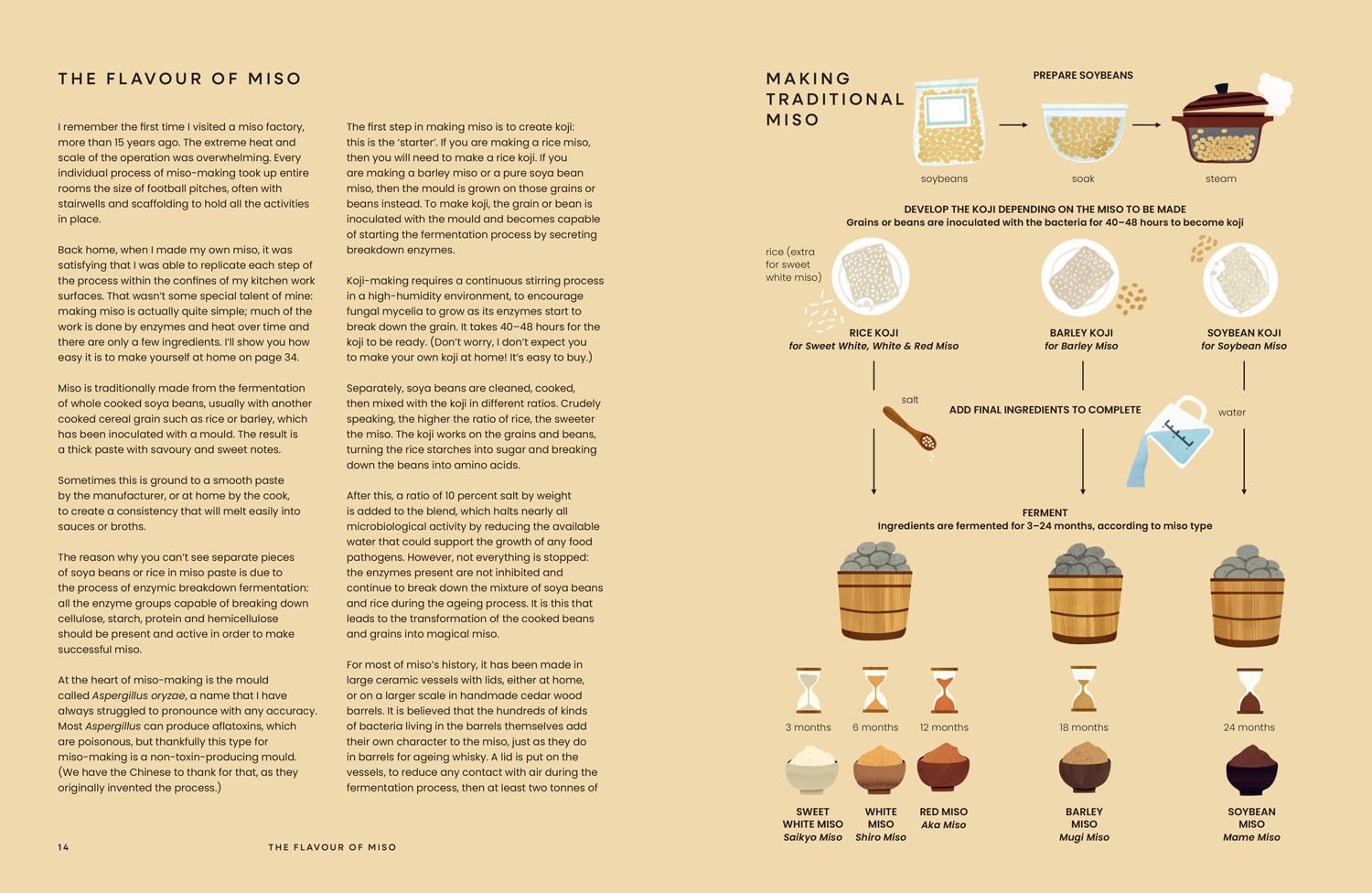 Miso: The Essential Guide to Fermented Miso