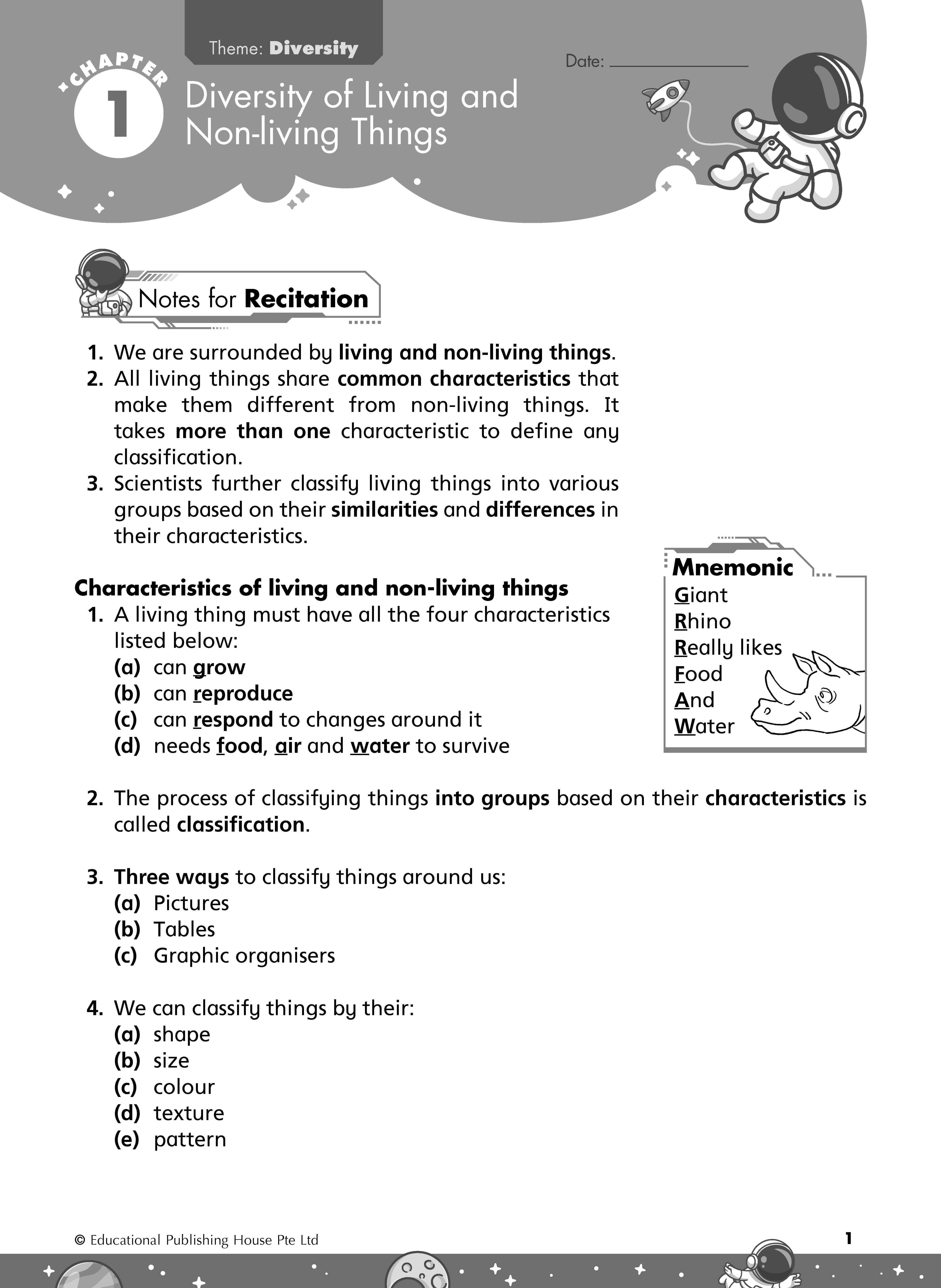 Primary 3 Rise To Excel In Science