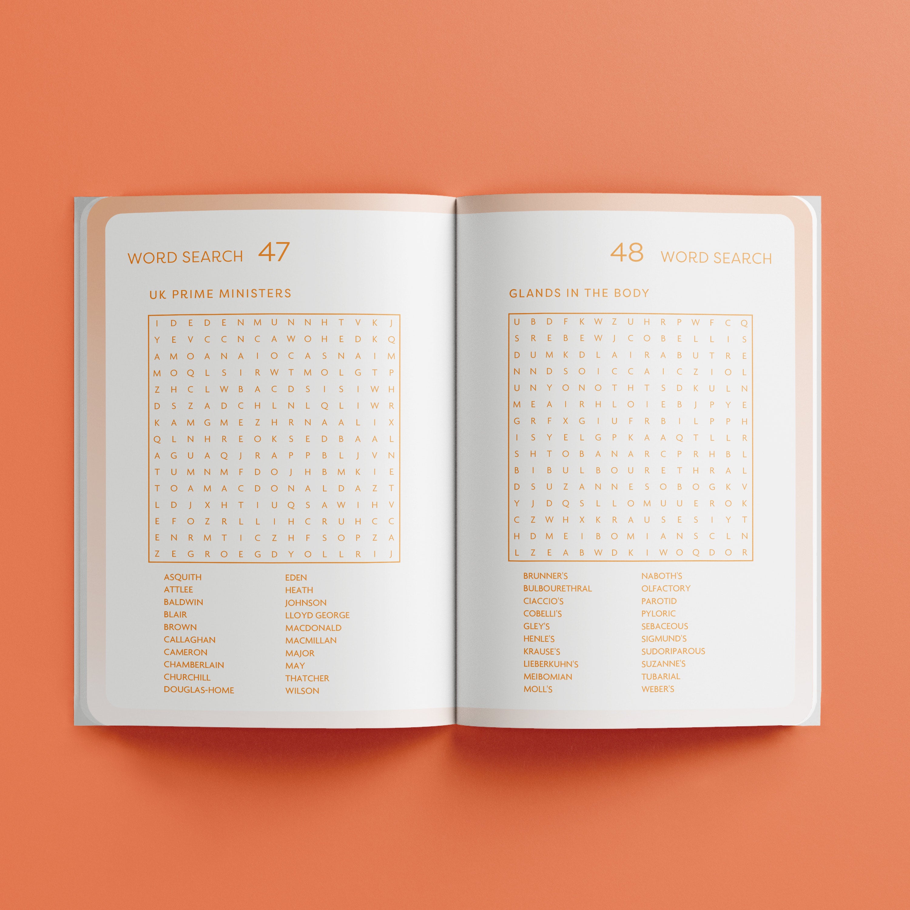 Pop Puzzles Word Search