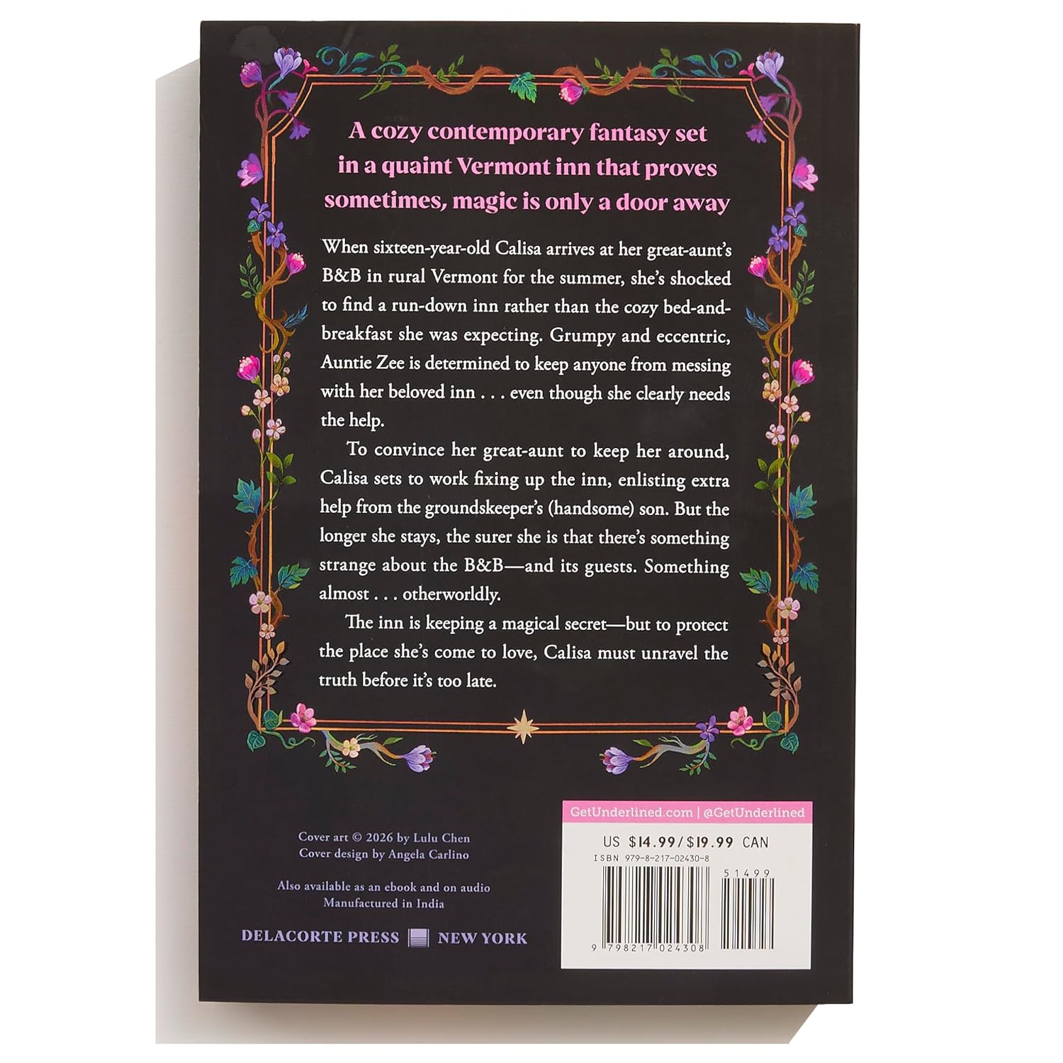 The Faraway Inn (Paperback)