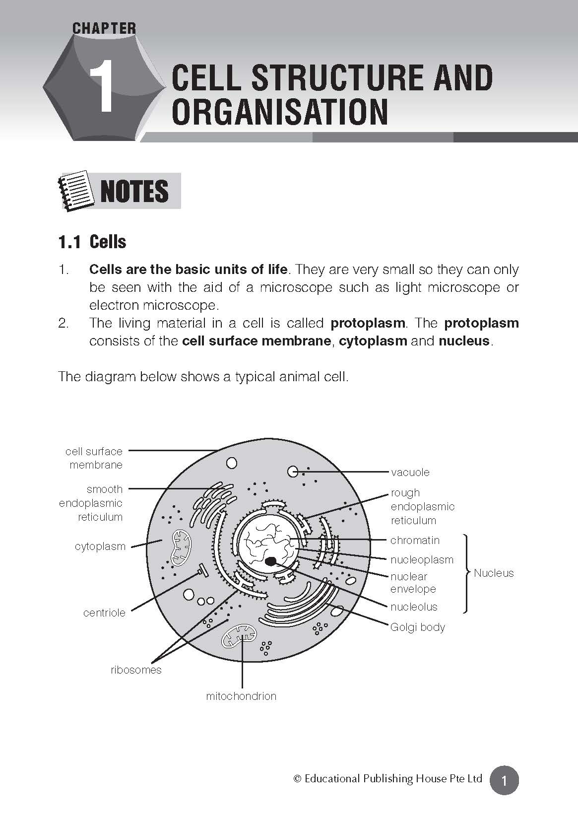 O Level (G3) Biology At Your Fingertips 5th Edition