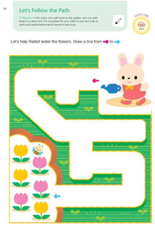 Playsmart Skill Builders 2+