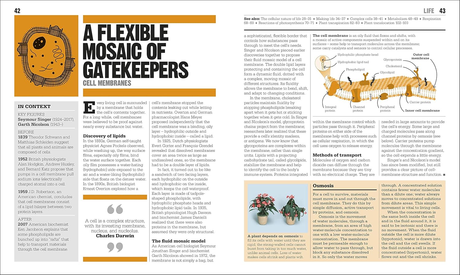 The Biology Book: Big Ideas Simply Explained (Hardcover)