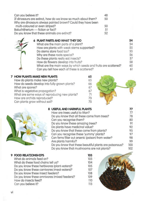 Mini Science Encyclopedia - 8th Edition