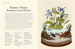 Insectarium (Junior Edition)