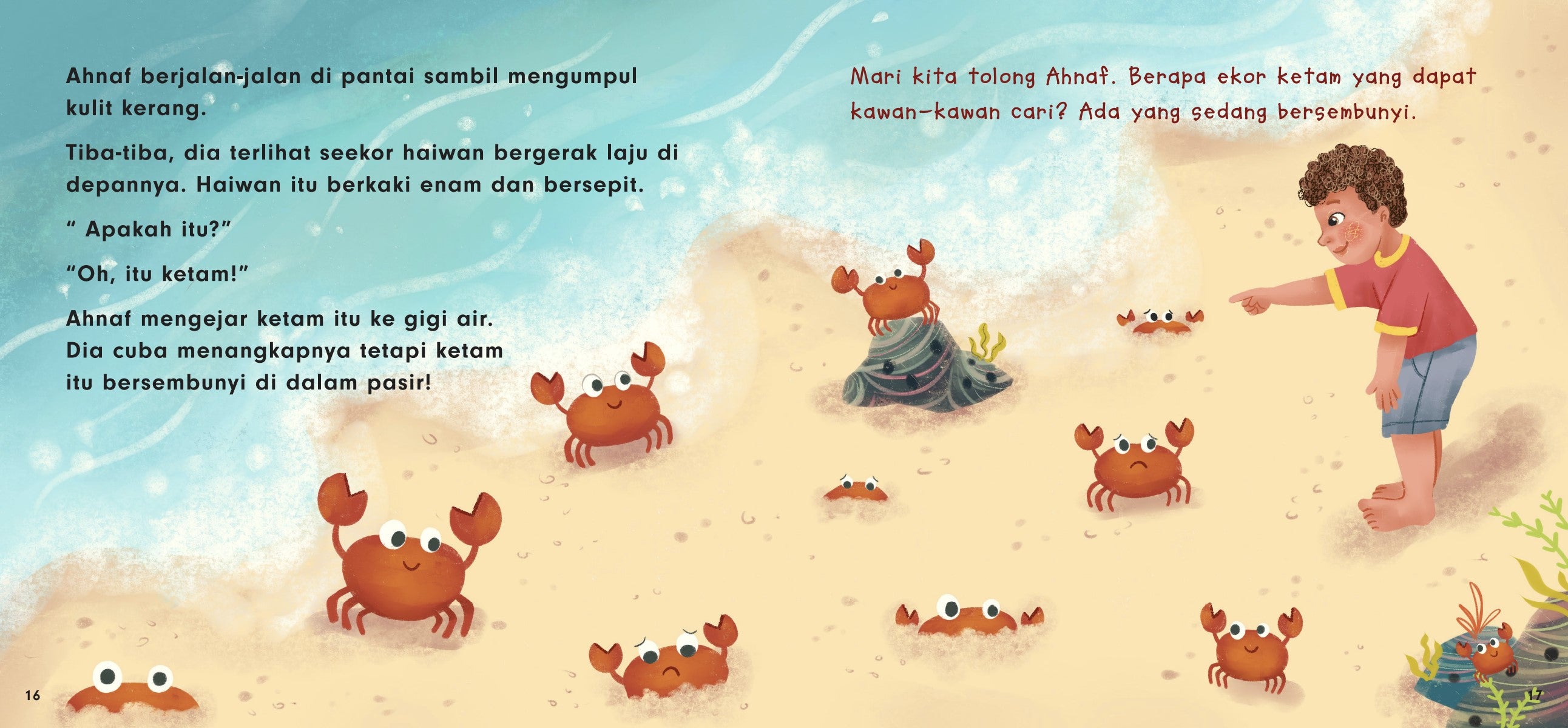 Apakah Itu? Di Pantai