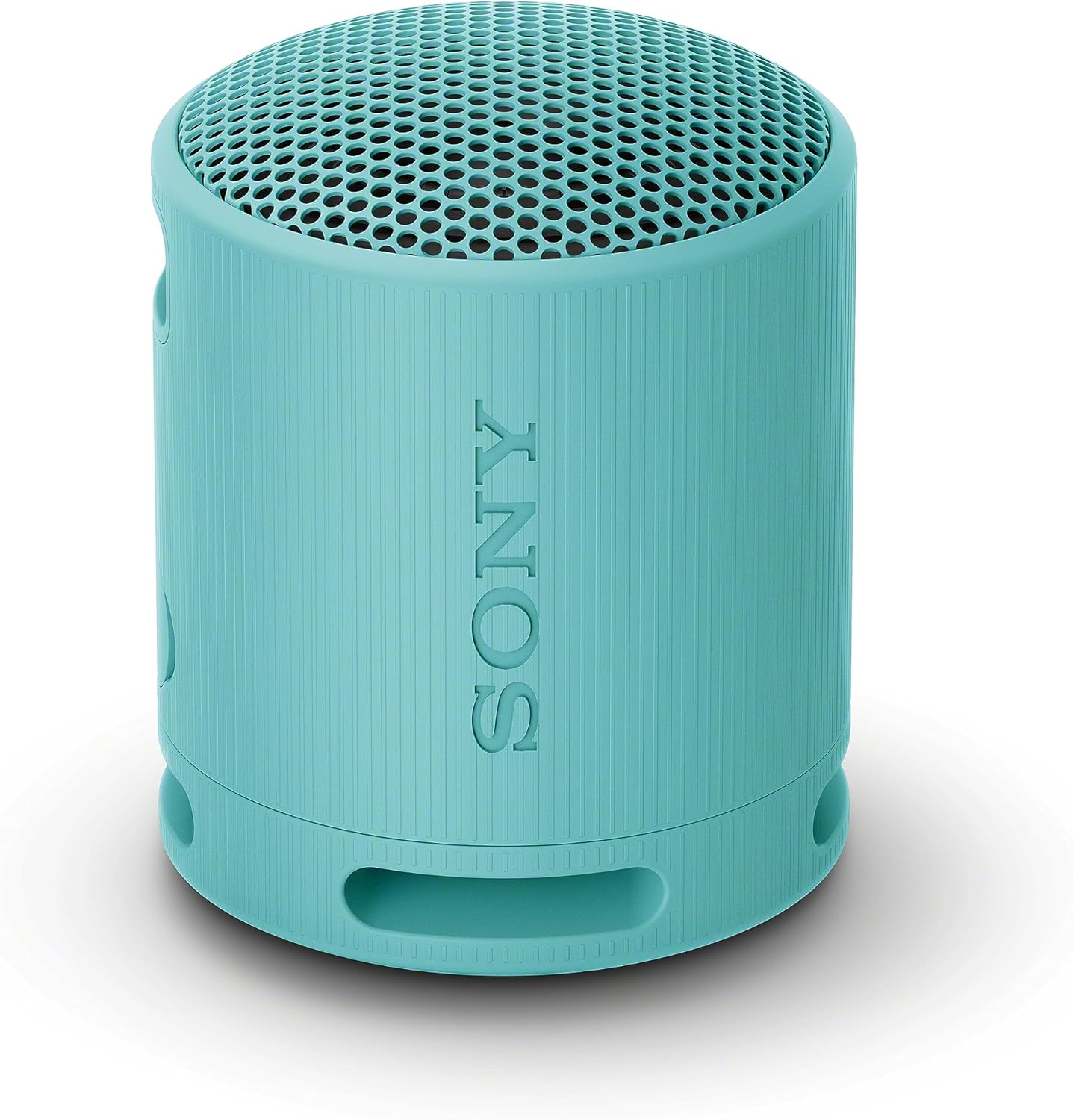Sony Xb100 Portable Wireless Speaker (blue)