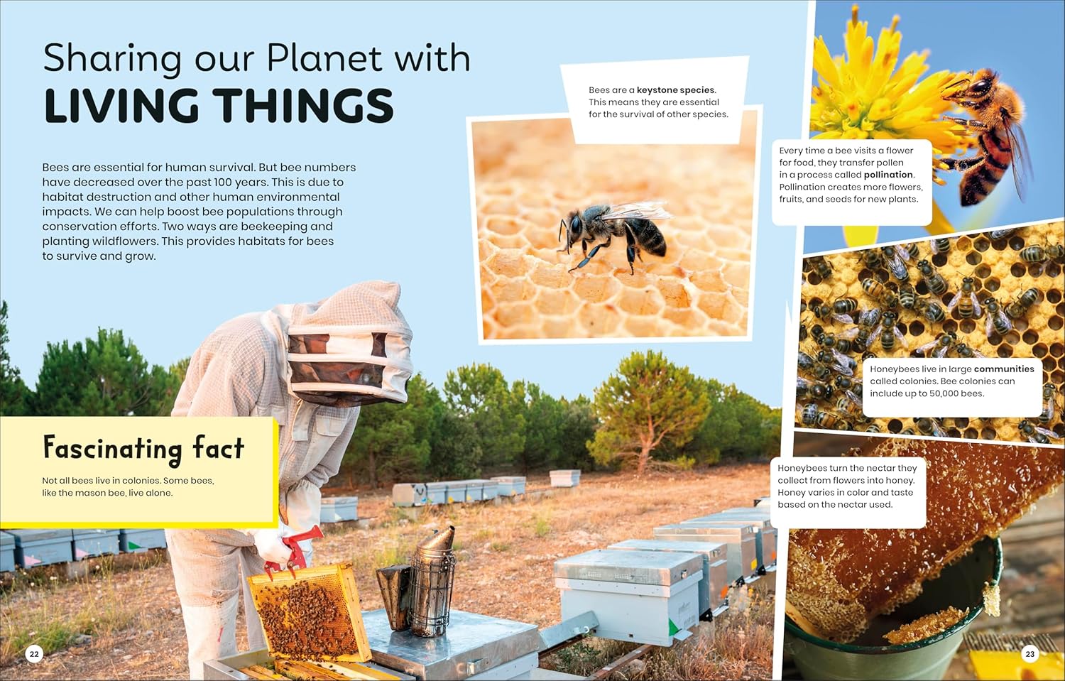 DK Super Planet Sharing The Planet (Paperback)