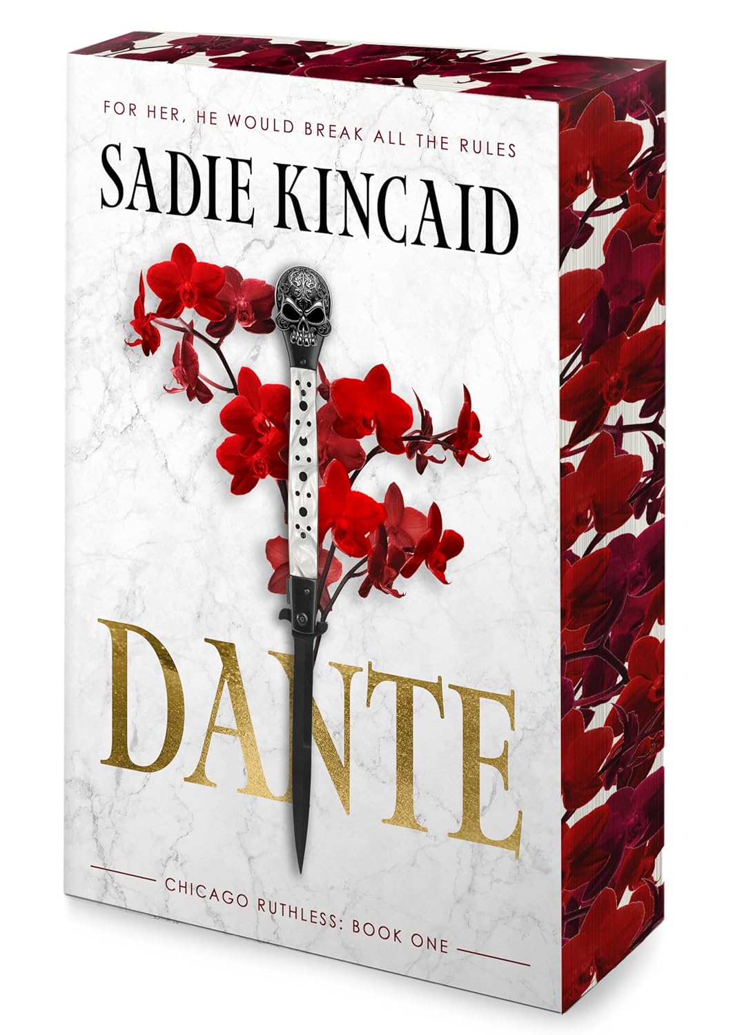 Chicago Ruthless 01: Dante: A Dark Mafia, Enemies to Lovers Romance