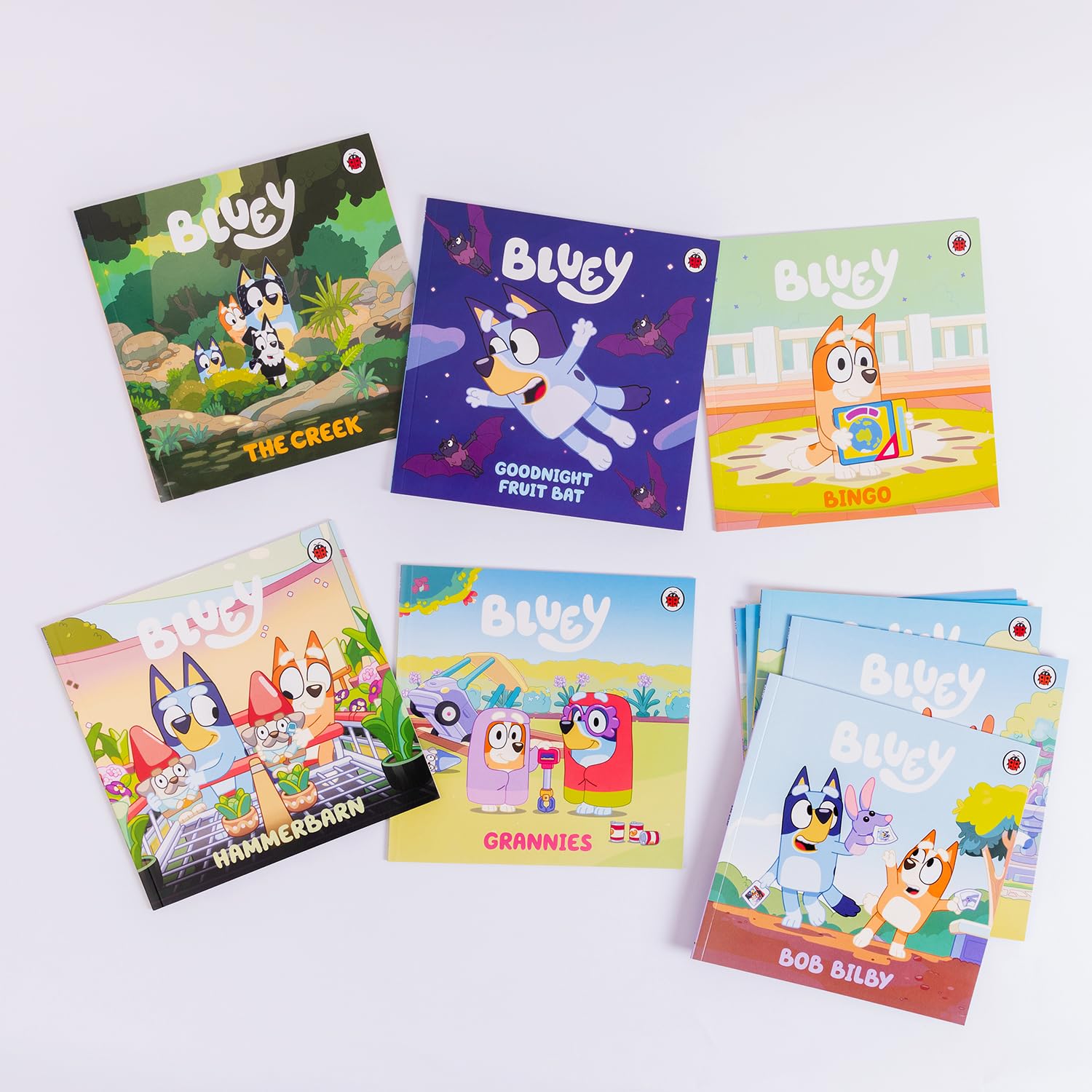 Bluey Let's Do This Box of Books (Paperback)