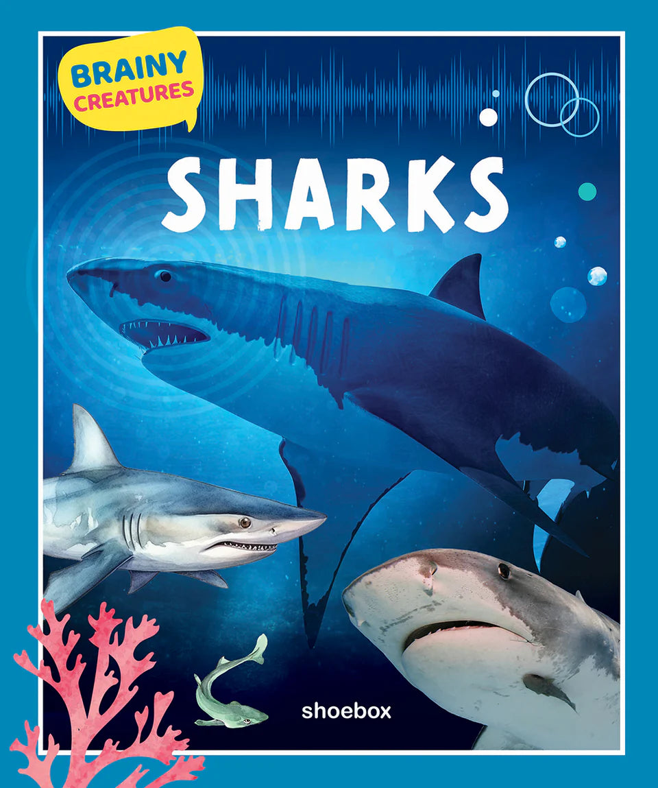 Sharks (Brainy Creatures)
