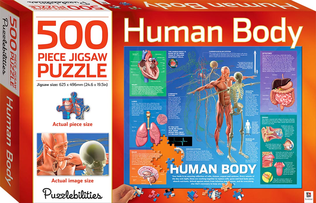 HINKLER PUZZLEBILITIES HUMAN BODY 500 PIECE JIGSAW PUZZLE