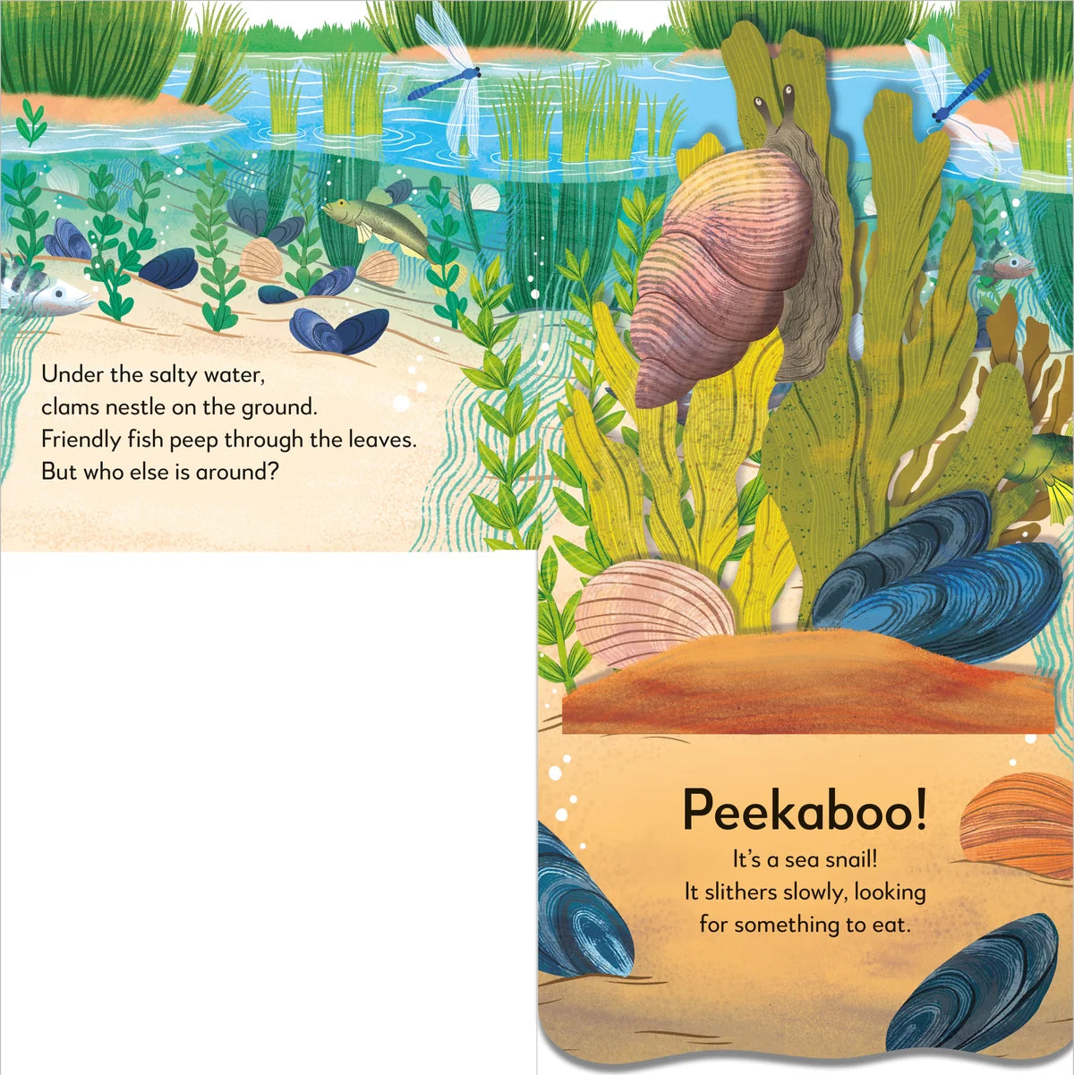 Pop Up Peekaboo! Seashore (Board Book)
