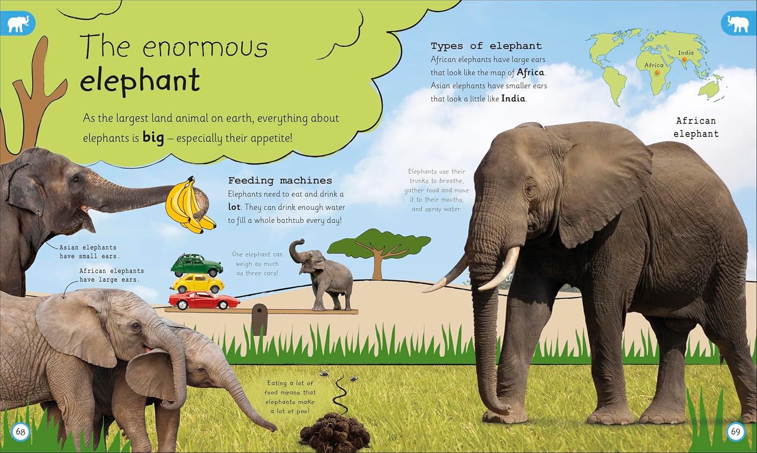 My Encyclopedia of Very Important Animals: For Little Animal Lovers Who Want to Know Everything (Hardcover)