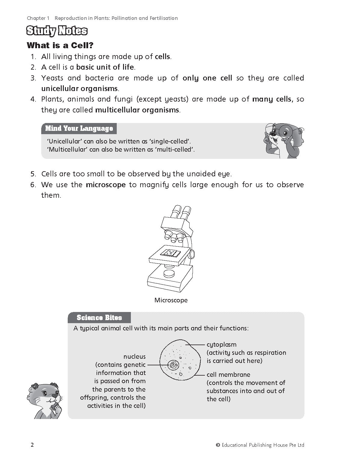 Primary 5 Must Know Science Process Skills & Key Words 