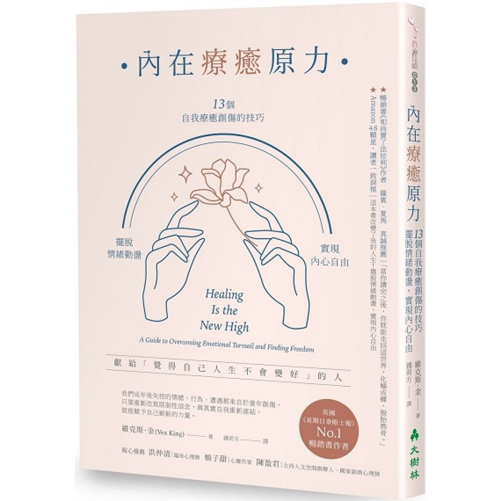 内在疗愈原力 ： 13个自我疗愈创伤的技巧，摆脱情绪动荡，实现内心自由
