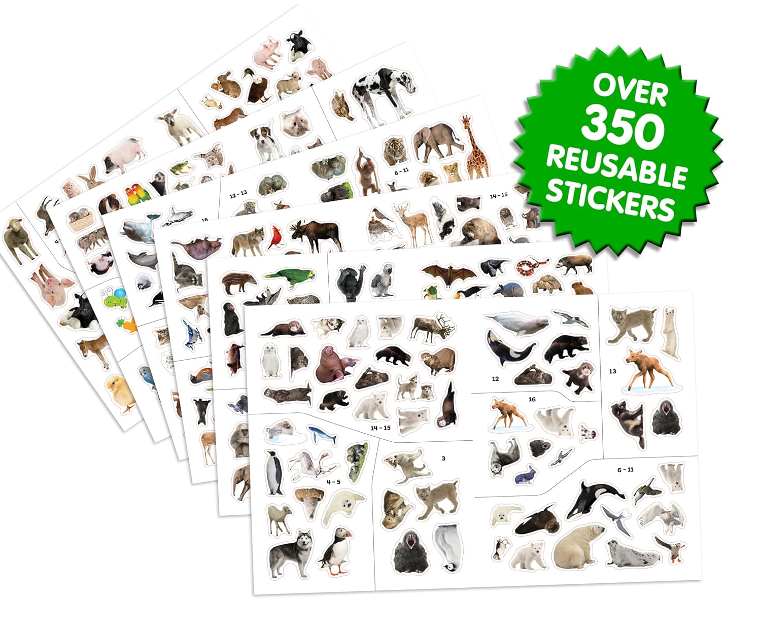 Phidal Baby Animals Sticker Book Treasury