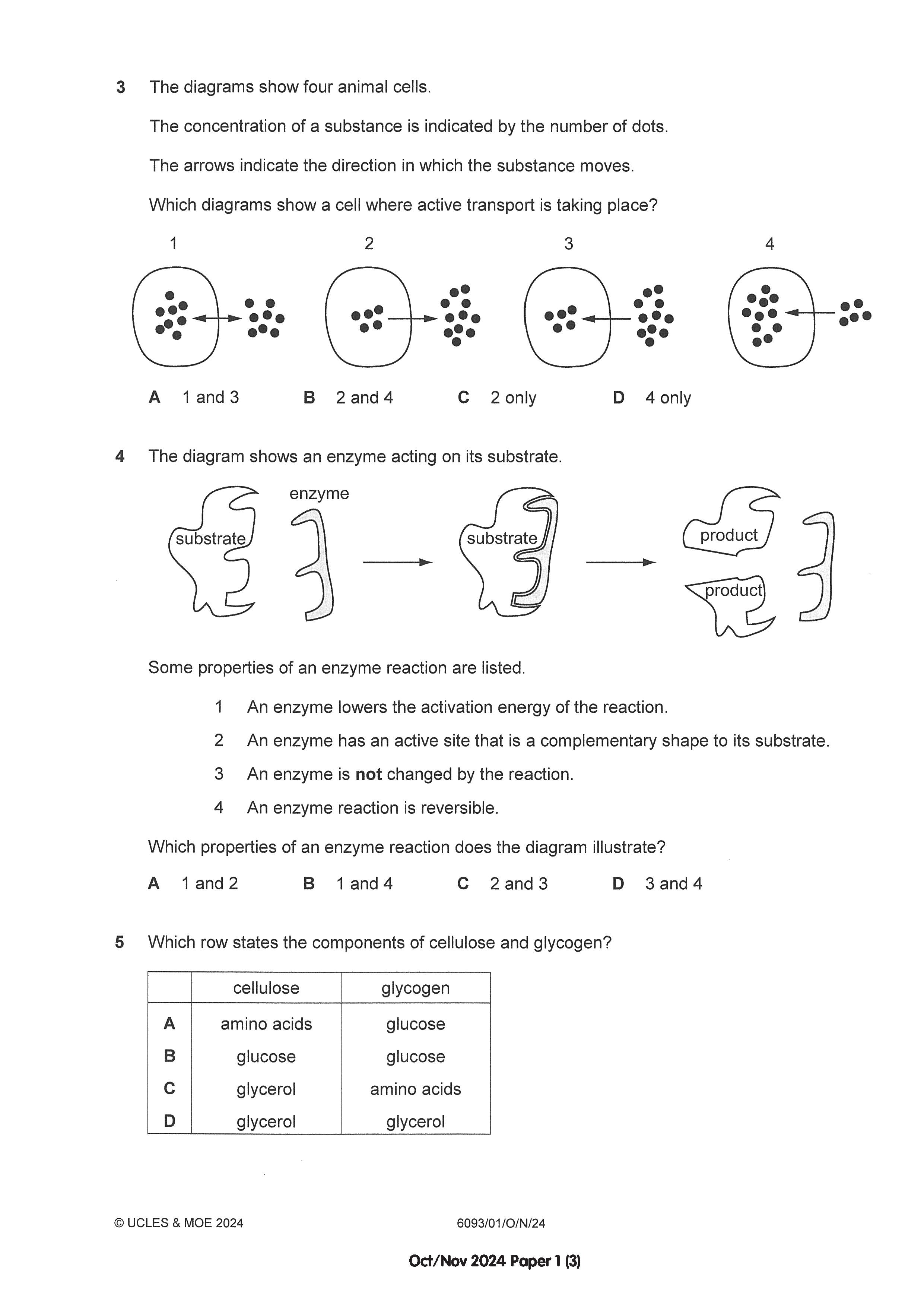 O Level Biology Exam Q&A 15-24 (Yearly)