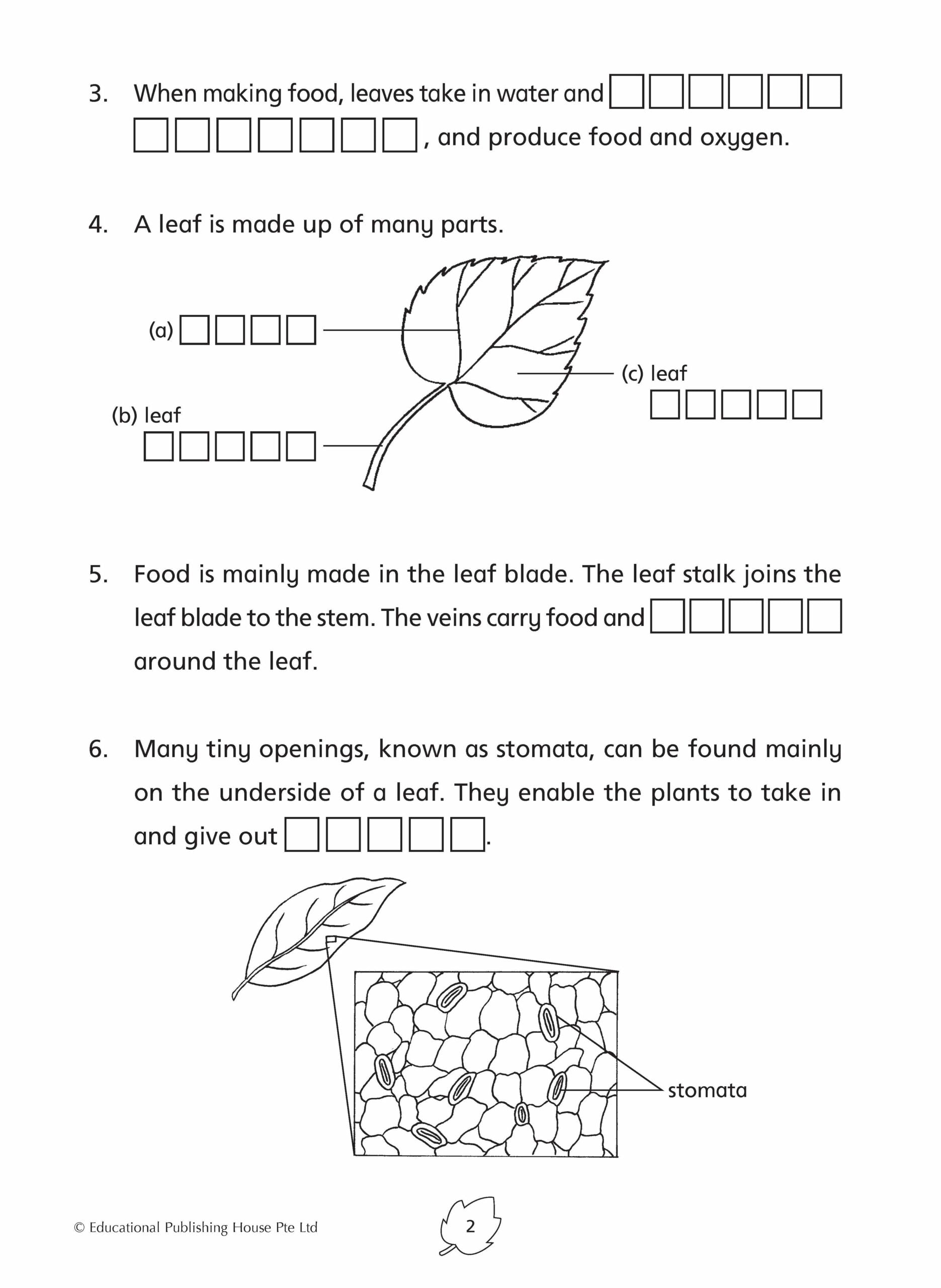 Primary 4 Science Practice 1000+ (3rd Edition)