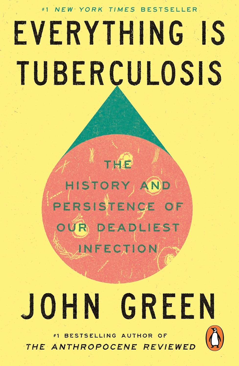 Everything Is Tuberculosis (Paperback)