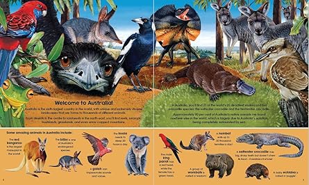 C-garry Fleming's Wild Animals (bk & Pz)