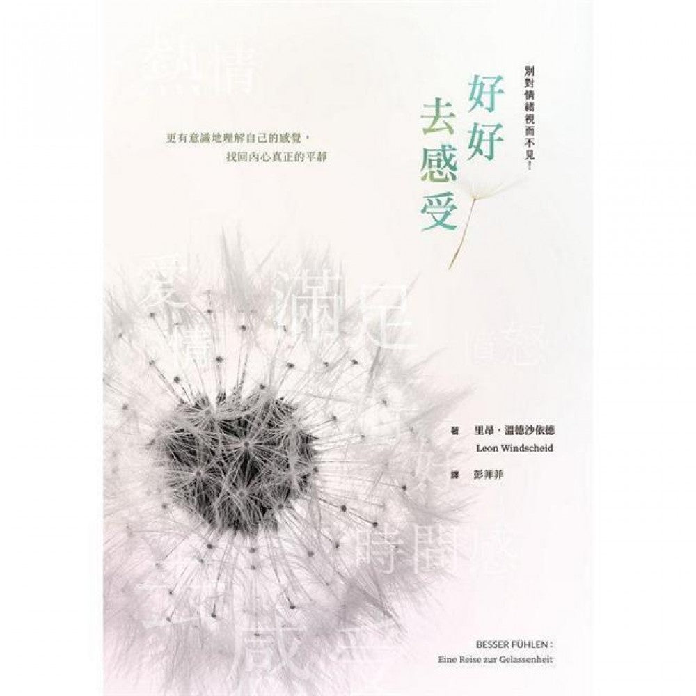 好好去感受：别对情绪视而不见！更有意识地理解自己的感觉，找回内心真正的平静