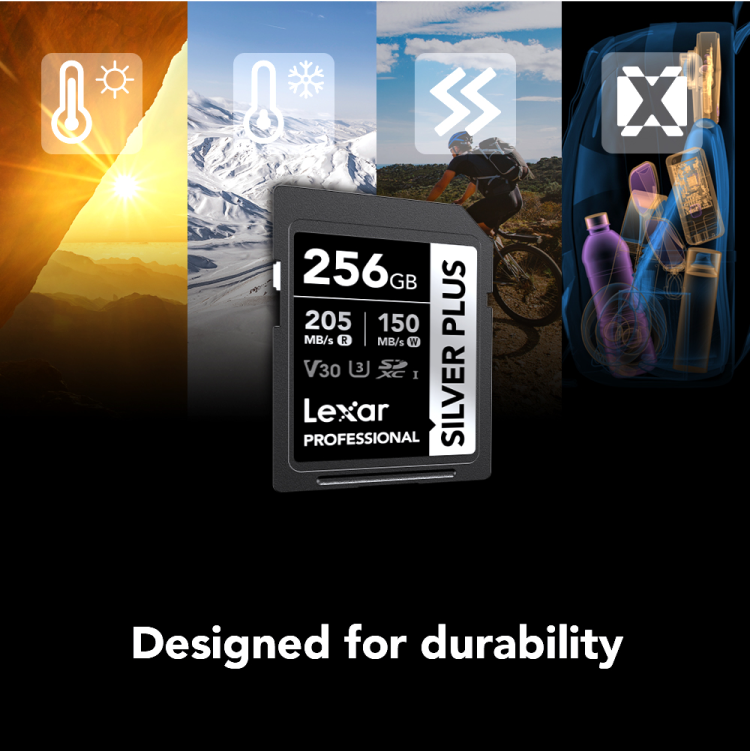 Lexar 256GB Silver Plus SDXC C10 R205/W150 Memory Card