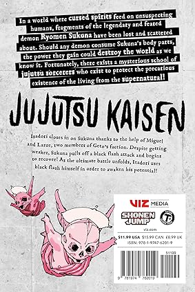 Jujutsu Kaisen - Vol. 29 (Manga)