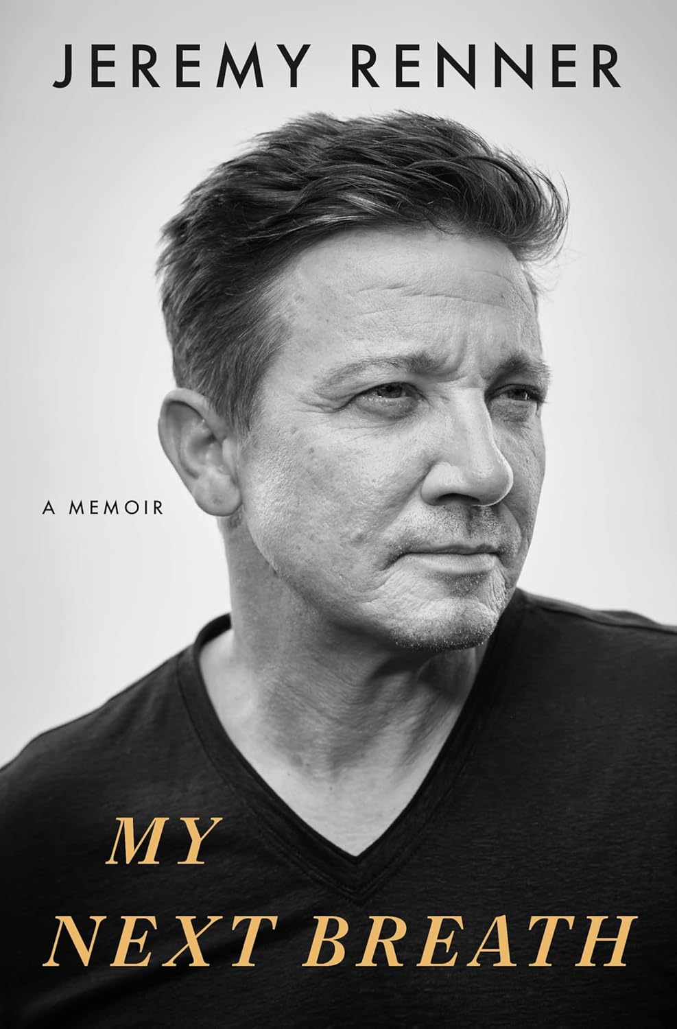 My Next Breath (Paperback)