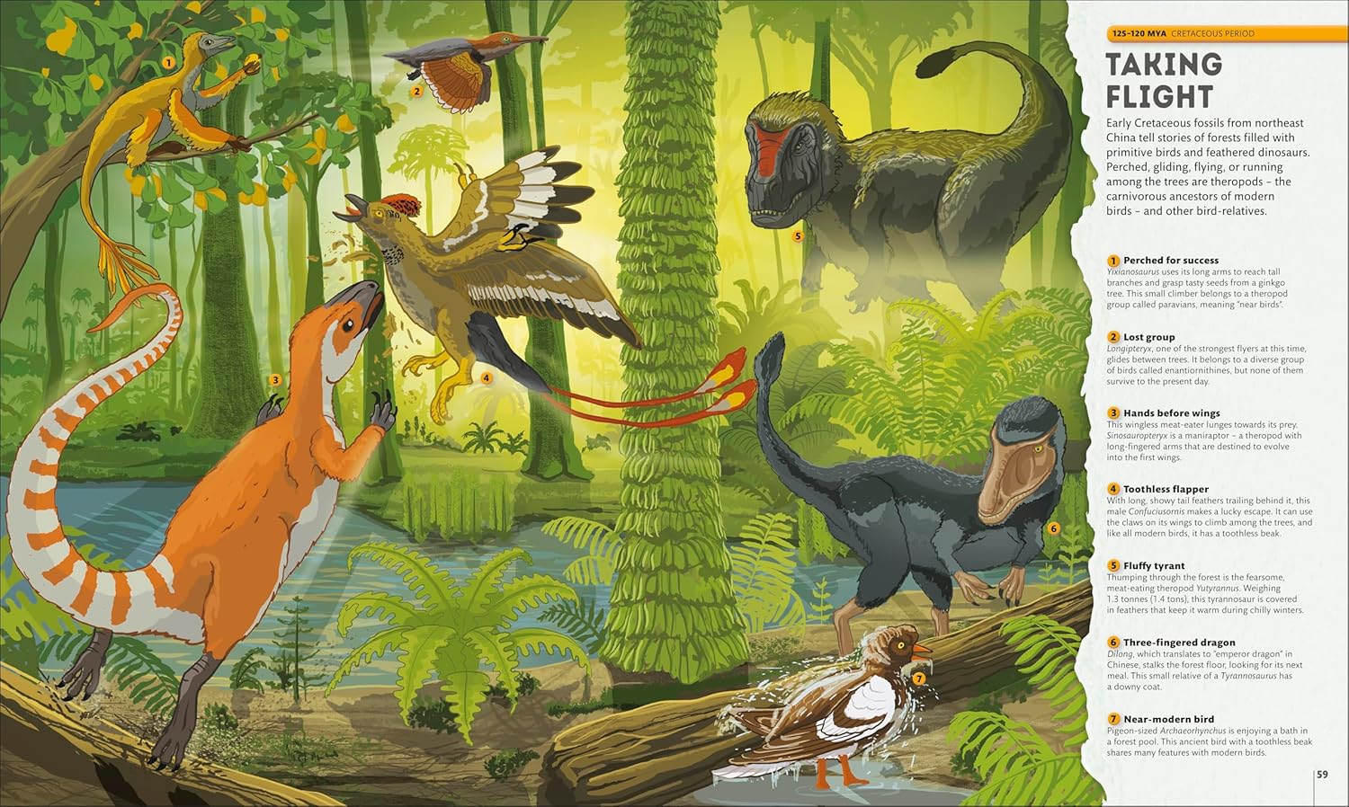 Planet Earth: A 4.5 Billion Year Story (Hardcover)
