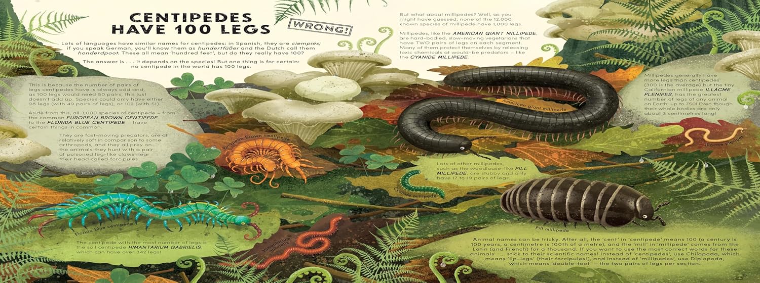 Everything You Know About Minibeasts is Wrong!