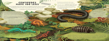 Everything You Know About Minibeasts is Wrong!